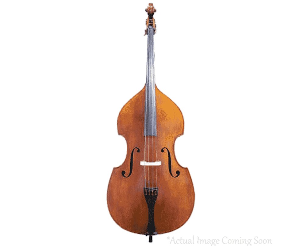 Double Bass