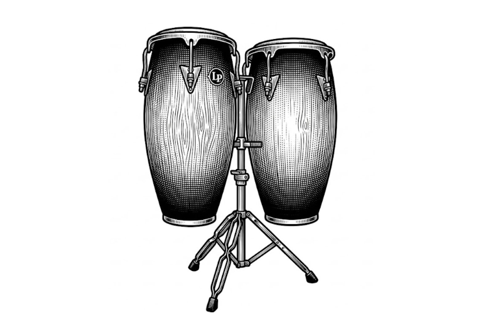 Latin Percussion